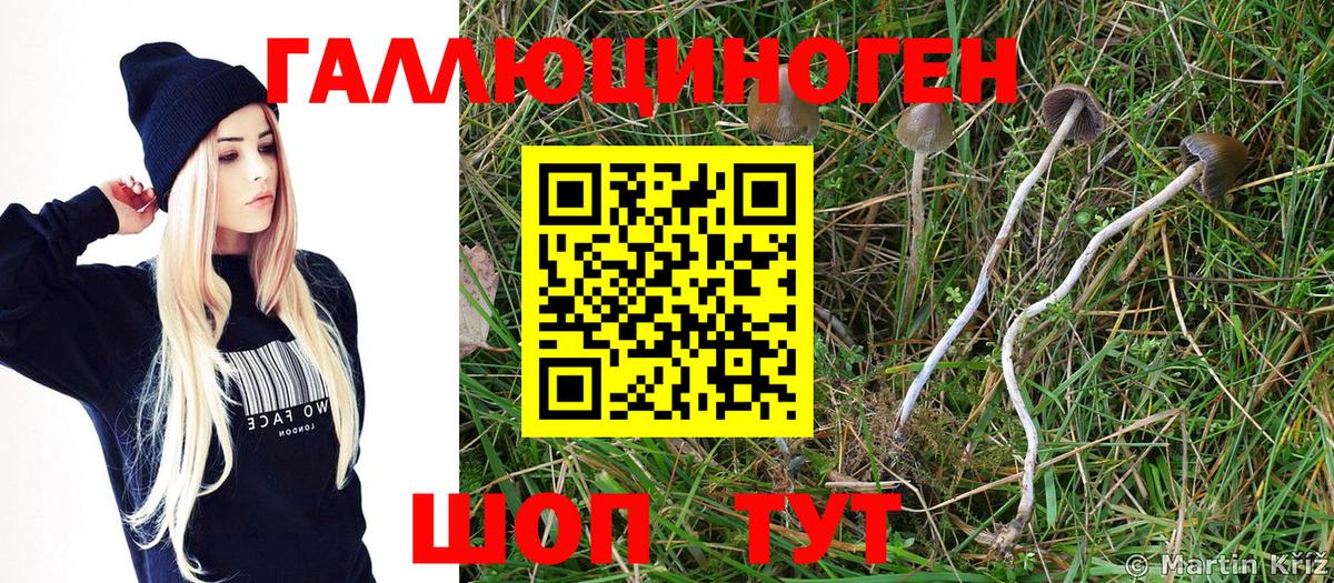 Галлюциногенные грибы ЛСД  Вход с VPN  Нижневартовск  Псилоцибиновые грибы MAGIC MUSHROOMS 